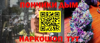 крисы Севастополь